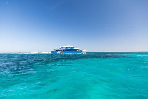 Rottnest Island Bike & Ferry Package From Fremantle - Tweed Heads Accommodation 0