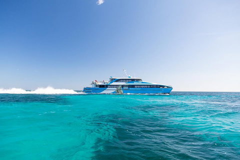 Rottnest Island Bike, Snorkel & Ferry Package From Fremantle - Tweed Heads Accommodation 0