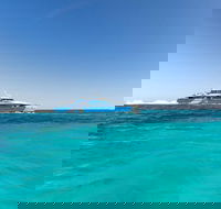 Rottnest Island Bayseeker Day Trip from Perth - Tweed Heads Accommodation