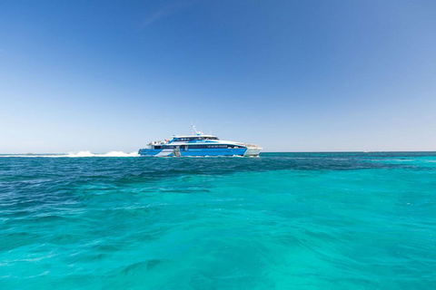 Rottnest Island Bayseeker Day Trip From Perth - Tweed Heads Accommodation 0