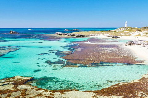 Rottnest Island Bayseeker Day Trip From Perth - Tweed Heads Accommodation 4