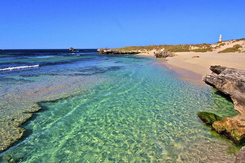 Rottnest Island Bayseeker Day Trip From Perth - Tweed Heads Accommodation 5