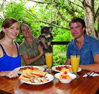 Breakfast with the Koalas at Hartley's Crocodile Park from Cairns or Palm Cove - Tweed Heads Accommodation