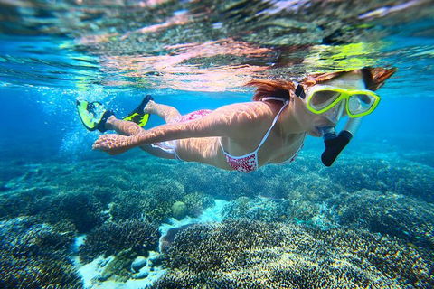 Abrolhos Islands Scenic Flight & Snorkel Adventure From Perth - Tweed Heads Accommodation 1