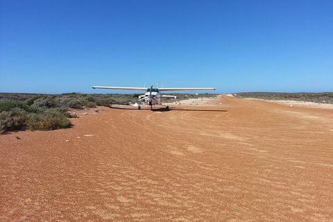 Abrolhos Islands Scenic Flight & Snorkel Adventure From Perth - Tweed Heads Accommodation 3