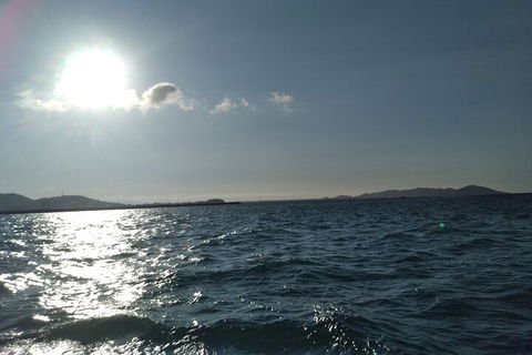 Townsville Small Group Early Morning Sailing Cruise Boat Tour Charter Hire - Tweed Heads Accommodation 4