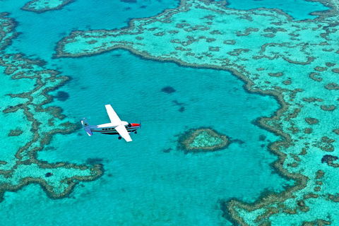 Reef And Island Scenic Flight From Airlie Beach - Tweed Heads Accommodation 4