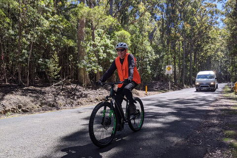 Mount Wellington Descent Cycling Tour Departs Hobart - Tweed Heads Accommodation 3