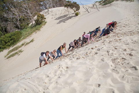 6-Day Tasmanian Explorer Adventure Tour From Hobart - Tweed Heads Accommodation 2
