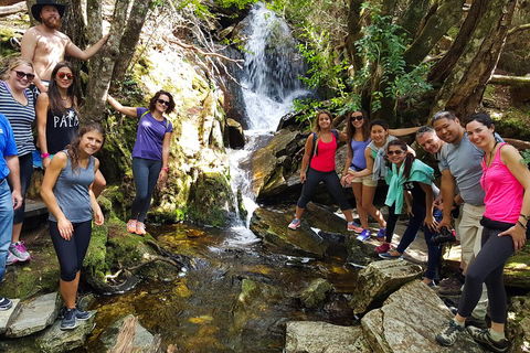7-Day Super Value Tour Of Tasmania: Explore Tasmania's West And East Coasts - Tweed Heads Accommodation 2