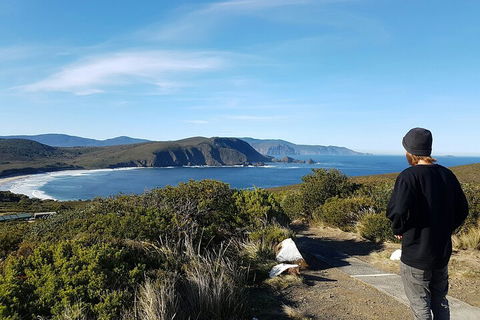 4-Day Fabulous Tasmania Tour: Wineglass Bay, Port Arthur, Devils & Bruny Island - Tweed Heads Accommodation 0