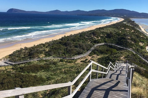 4-Day Fabulous Tasmania Tour: Wineglass Bay, Port Arthur, Devils & Bruny Island - Tweed Heads Accommodation 5