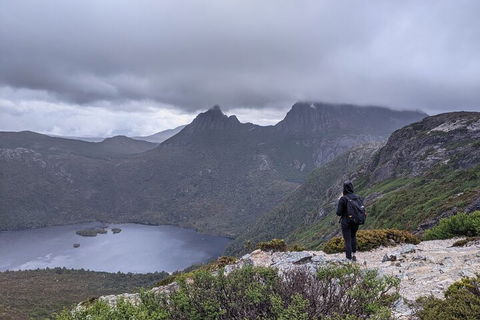 5-Day Best Of Tasmania Tour From Hobart - Tweed Heads Accommodation 3