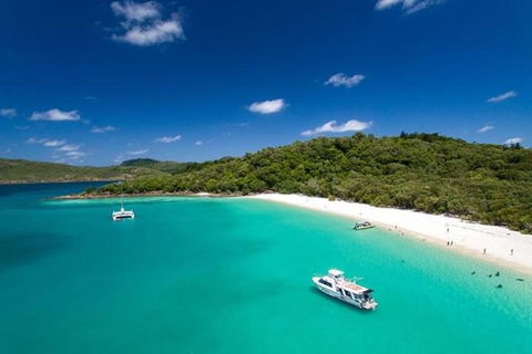 Whitehaven Beach And Hill Inlet | Awesome Beach BBQ | Family Friendly - Tweed Heads Accommodation 3
