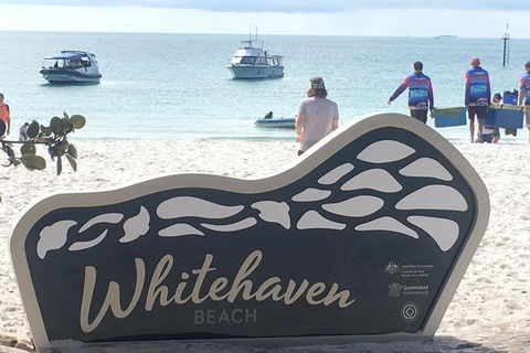 Whitehaven Beach And Hill Inlet | Awesome Beach BBQ | Family Friendly - Tweed Heads Accommodation 5