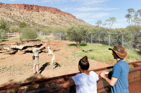 Alice Springs Desert Park General Entry Ticket - Tweed Heads Accommodation 4