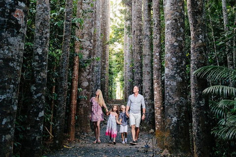 The Original Day Tour To Paronella Park, Lake Barrine And Millaa Millaa Falls - Tweed Heads Accommodation 1