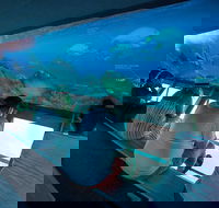 Great Barrier Reef Day Cruise to Reefworld - Tweed Heads Accommodation