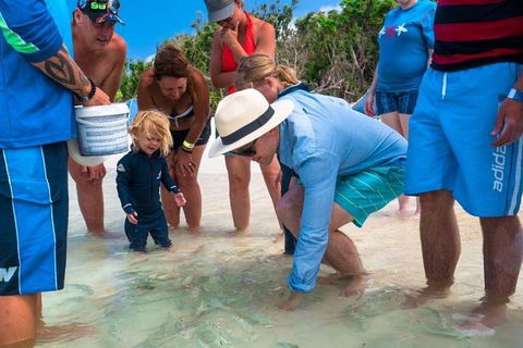 Whitehaven Beach And Hamilton Island Cruise - Tweed Heads Accommodation 1
