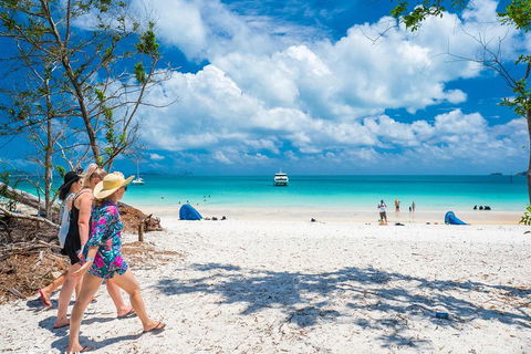 Whitehaven Beach Half-Day Cruises - Tweed Heads Accommodation 1