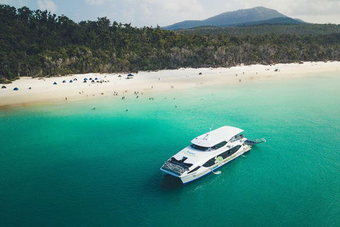 Whitehaven Beach Half-Day Cruises - Tweed Heads Accommodation 2