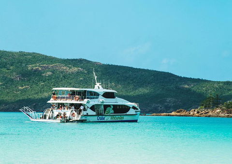 Whitehaven Beach Half-Day Cruises - Tweed Heads Accommodation 5