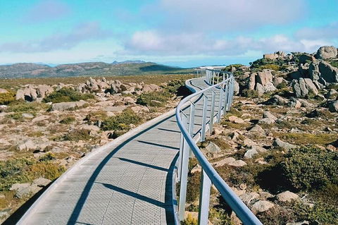 Mount Wellington Ultimate Experience Tour From Hobart - Tweed Heads Accommodation 2