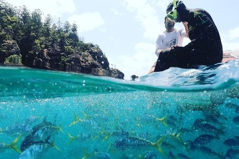 2 Night Small Group Whitsundays Sailing Adventure Aboard Mandrake - Tweed Heads Accommodation 5
