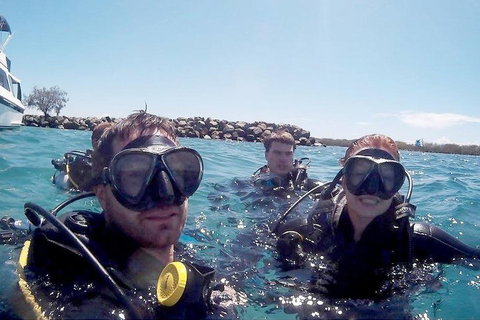 Wave Break Island Scuba Diving On The Gold Coast - Tweed Heads Accommodation 0