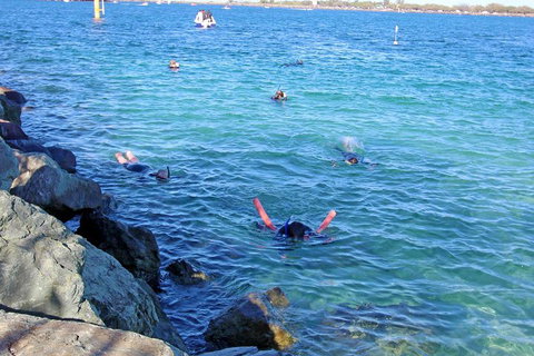 Wave Break Island Scuba Diving On The Gold Coast - Tweed Heads Accommodation 1