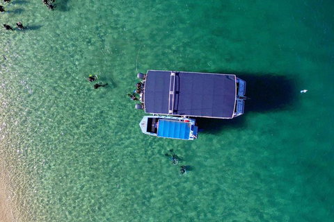 Wave Break Island Scuba Diving On The Gold Coast - Tweed Heads Accommodation 2