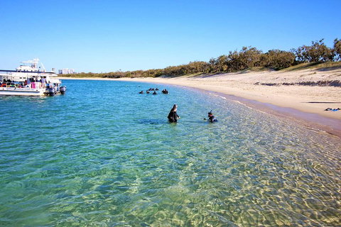 Wave Break Island Scuba Diving On The Gold Coast - Tweed Heads Accommodation 4