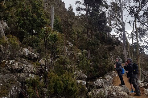 Kunanyi / Mt. Wellington Guided Hiking Tour - Tweed Heads Accommodation 0