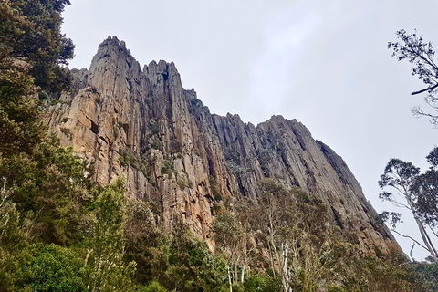 Kunanyi / Mt. Wellington Guided Hiking Tour - Tweed Heads Accommodation 4