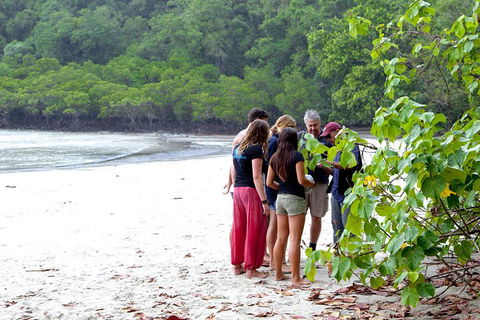 Full Day Daintree Rainforest And Mossman Gorge Tour - Tweed Heads Accommodation 2