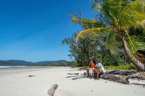 Full Day Daintree Rainforest And Mossman Gorge Tour - Tweed Heads Accommodation 4