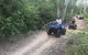 Cairns ATV Adventure Tour And Morning Train - thumb 0
