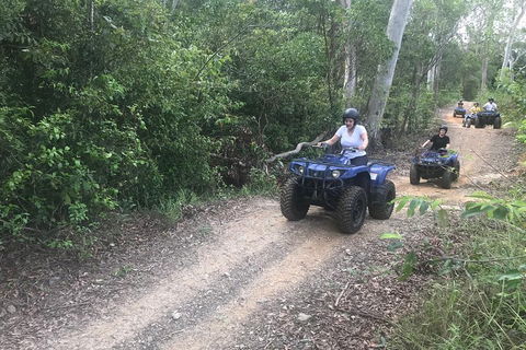 Cairns ATV Adventure Tour And Morning Train - Tweed Heads Accommodation 0