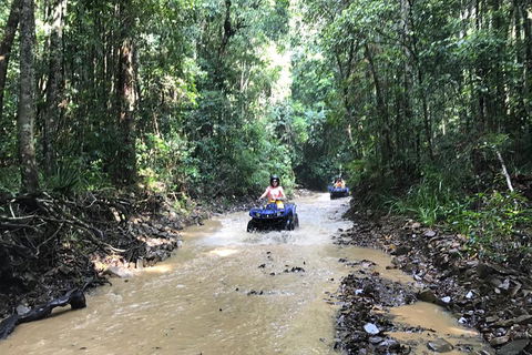 Cairns ATV Adventure Tour And Morning Train - Tweed Heads Accommodation 1