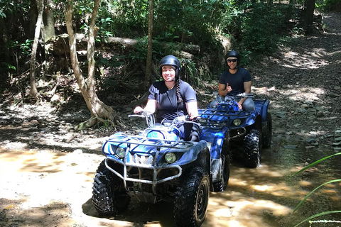 Cairns ATV Adventure Tour And Morning Train - Tweed Heads Accommodation 2