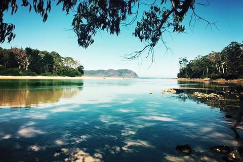 Full-Day Guided Bruny Island Tour From Hobart - Tweed Heads Accommodation 1