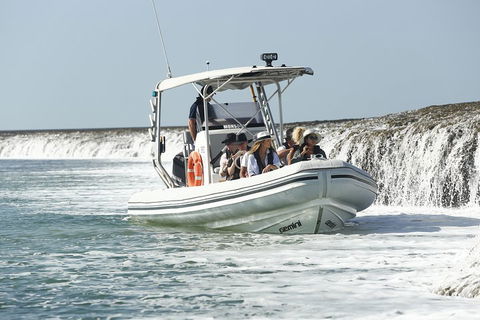 Cygnet Bay Explorer - Tweed Heads Accommodation 2