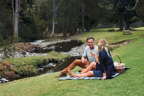 Mt Tamborine - Hinterland Wonders Self Guided - Tweed Heads Accommodation 0