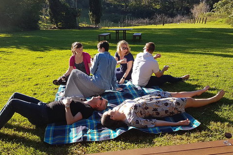 Mt Tamborine - Hinterland Wonders Self Guided - Tweed Heads Accommodation 2