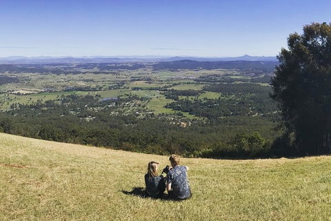 Mt Tamborine - Hinterland Wonders Self Guided - Tweed Heads Accommodation 4
