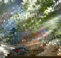 Mossman Gorge Adventure Day - Tweed Heads Accommodation