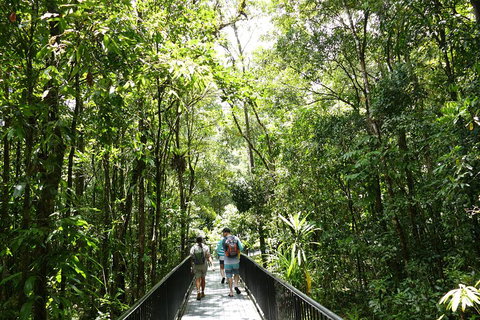 Daintree Dreaming Traditional Aboriginal Fishing From Cairns Or Port Douglas - Tweed Heads Accommodation 3