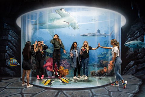 ArtVo Immersive Gallery Experience - Tweed Heads Accommodation 2