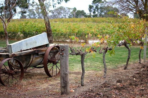 Maggie Beer Farm - Barossa Valley Regional Tour - Tweed Heads Accommodation 1