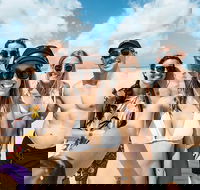 Whitsunday Islands Sailing Adventure - Tweed Heads Accommodation